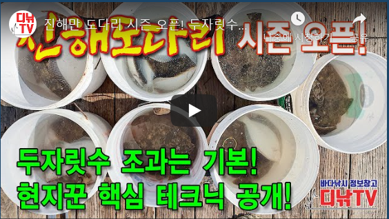 캡처.PNG