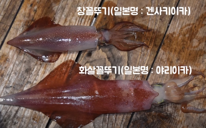 첨부이미지